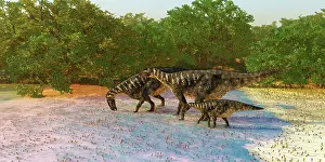 Iguanodont: Iguanodon dinosaurs in a banyan swamp