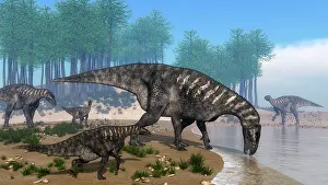 Ankylopollexia: Iguanodon dinosaurs herd at the shoreline - 3D render