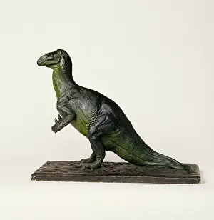 Ankylopollexia: Iguanodon model