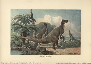 Tiere: Iguanodons were herbivorous dinosaurs from