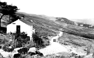 Ilkley: Ilkley, the Moors 1914