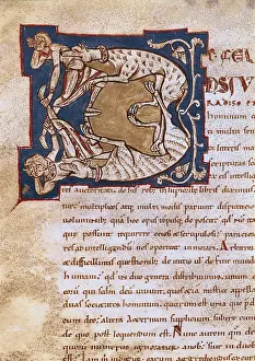 Philosophic: Illuminated initial. 12th c. It belongs to a