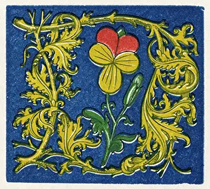 Alphabets: Illuminated letter D