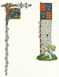 Alphabets: Illuminated letter D, and a standard