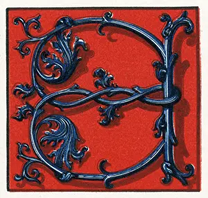 Alphabets: Illuminated letter E