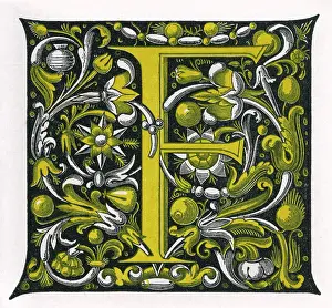 Alphabets: Illuminated letter F
