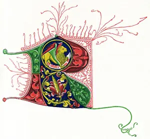 Alphabets: Illuminated letter R