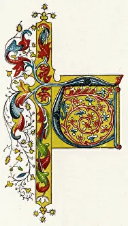 Alphabets: Illuminated letter T