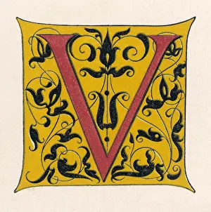 Alphabets: Illuminated letter V