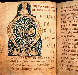 Zwettl: Illuminated manuscript
