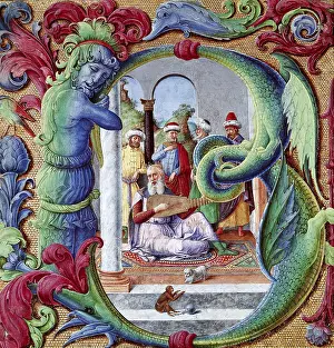 Judah: Illuminated Solomon