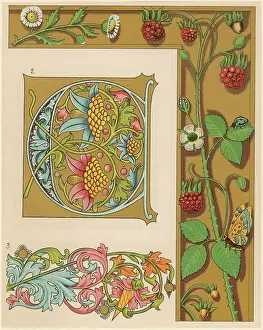 Raspberries: Illuminating 15c - 16c