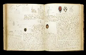 Entomologist: Illustrated notebook of H.W. Bates