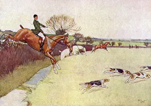 Dashing: Illustration, Black Beauty