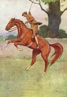 Painful: Illustration, Black Beauty
