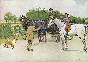 Sewell: Illustration, Black Beauty