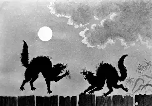 Disagree: Illustration Two Black Cats On