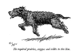 Energetic: Illustration of a black dog by Cecil Aldin