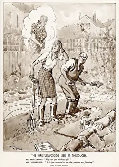 Labouring: Illustration, Bristlewoods, vegetable patch