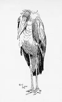 Aldin: Illustration by Cecil Aldin, The Adjutant Bird