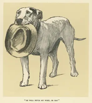 Obedient: Illustration by Cecil Aldin, a bull terrier with a hat