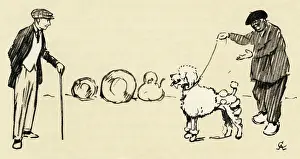 Clipped: Illustration by Cecil Aldin, buying a white French poodle