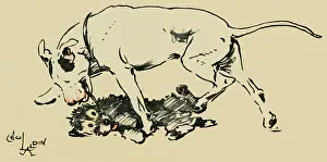 Dragging: Illustration by Cecil Aldin, Cracker and Bogie