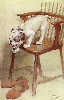 Calculate: Illustration by Cecil Aldin, My Dog