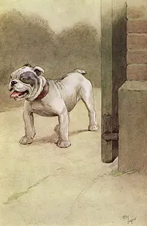 Pelleas: Illustration by Cecil Aldin, My Dog