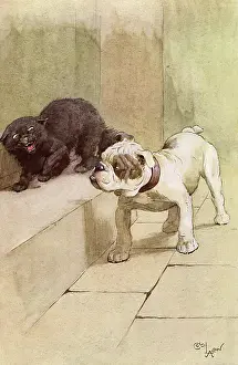 Contempt: Illustration by Cecil Aldin, My Dog