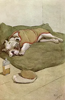 Sickness: Illustration by Cecil Aldin, My Dog
