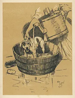 Uncomfortable: Illustration by Cecil Aldin, A Dog Day