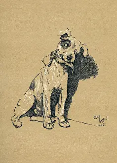 Rewarded: Illustration by Cecil Aldin, A Dog Day