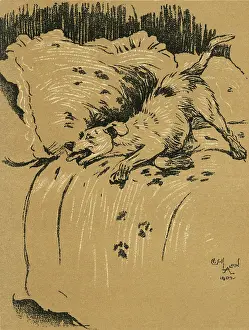 Aunt: Illustration by Cecil Aldin, A Dog Day