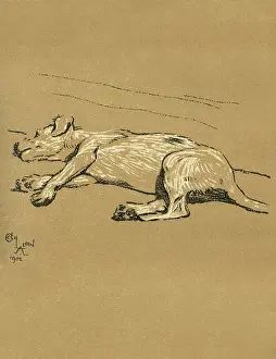 Ache: Illustration by Cecil Aldin, A Dog Day