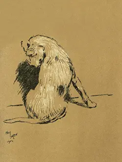 Flea: Illustration by Cecil Aldin, A Dog Day