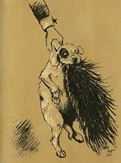 Aunt: Illustration by Cecil Aldin, A Dog Day