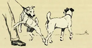Walkies: Illustration by Cecil Aldin, dog walking