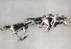 Illustration by Cecil Aldin, Dogs of Every Day