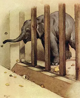 Aldin: Illustration by Cecil Aldin, The Elephant