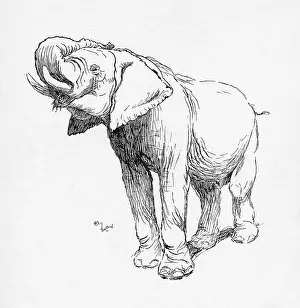 Aldin: Illustration by Cecil Aldin, The Elephant