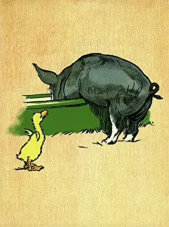 Decimus: Illustration by Cecil Aldin, Farm Babies