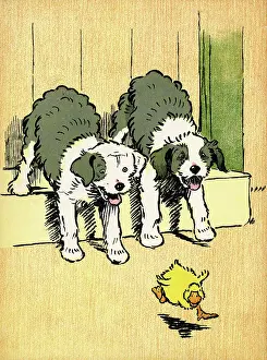 Decimus: Illustration by Cecil Aldin, Farm Babies