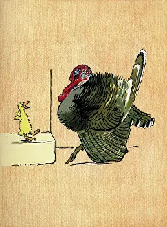 Decimus: Illustration by Cecil Aldin, Farm Babies
