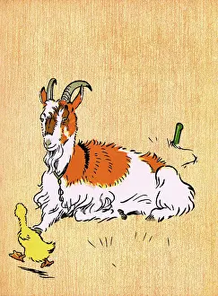 Decimus: Illustration by Cecil Aldin, Farm Babies