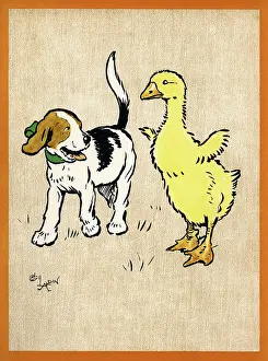 Gosling: Illustration by Cecil Aldin, Field Babies