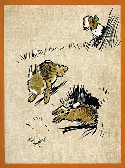 Bunnies: Illustration by Cecil Aldin, Field Babies