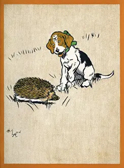 Hedgehogs: Illustration by Cecil Aldin, Field Babies