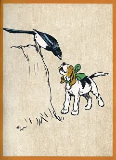 Magpie: Illustration by Cecil Aldin, Field Babies