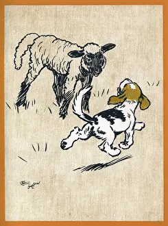 Lambs: Illustration by Cecil Aldin, Field Babies